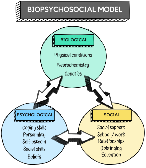The Biopsychosocial Model Interacting Factors And Perpetuating Cycles Mental Health Repository